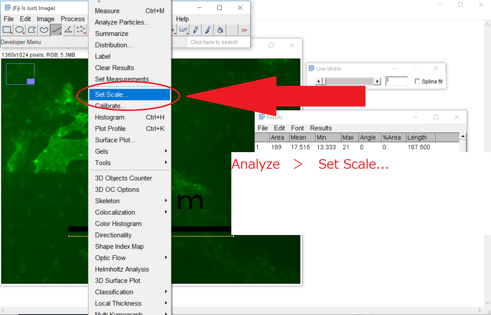 Imagej Fiji で2点間の距離を測定する Wordpressでフリーオリジナルフォント