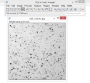 imagej:pasted:20190414-114355.png