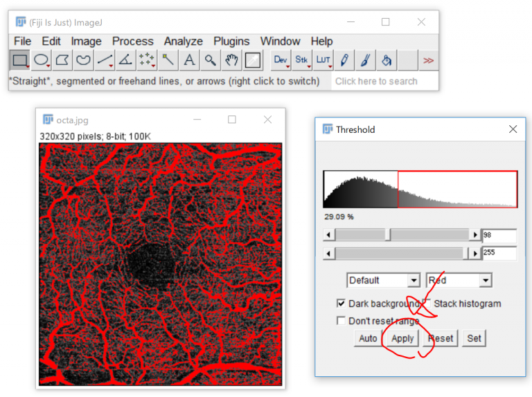 imagej fiji imagej fiji