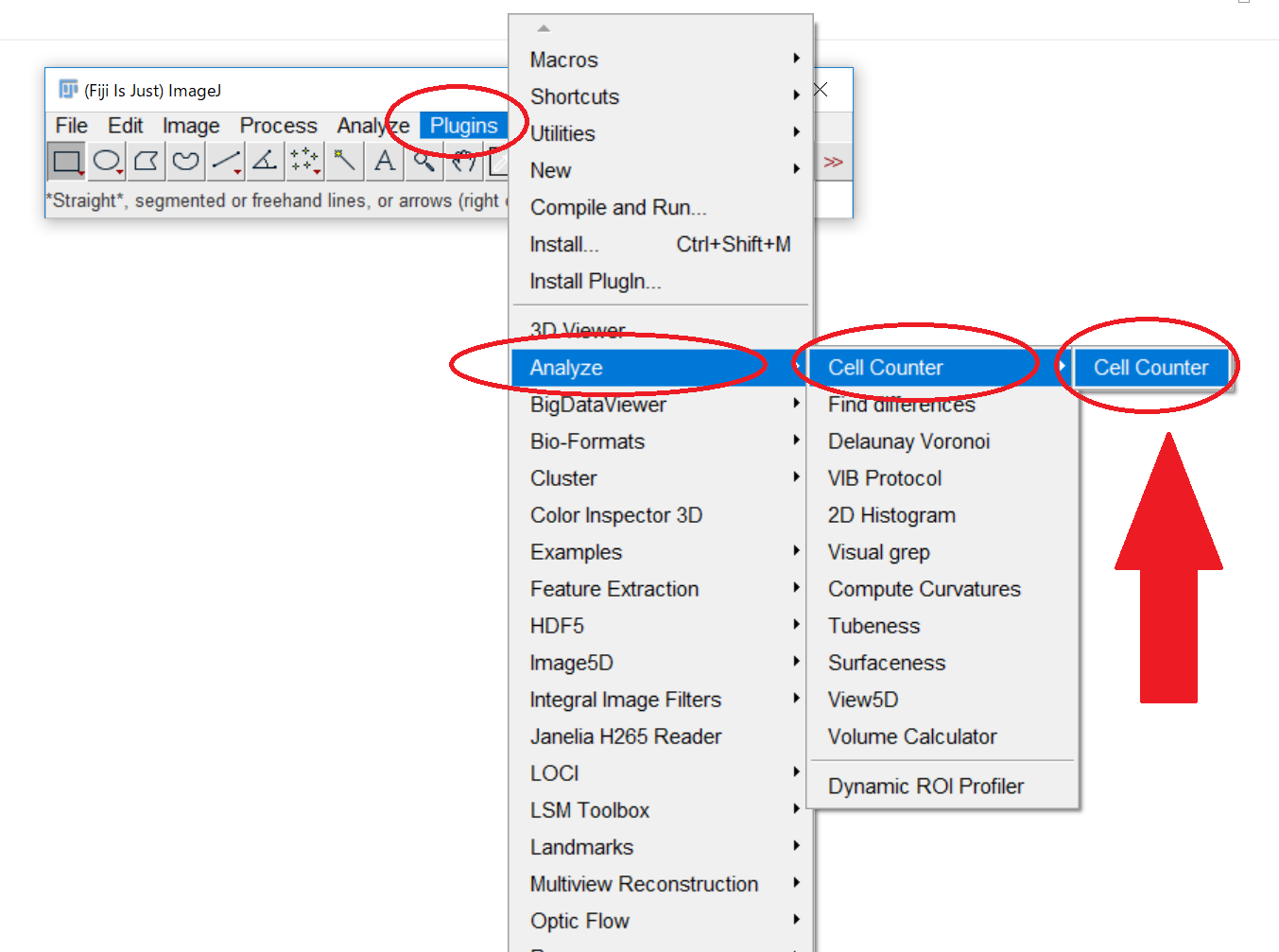 imagej fiji contrast plugin